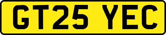 GT25YEC