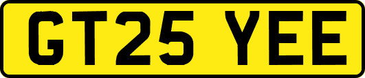 GT25YEE