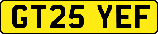 GT25YEF