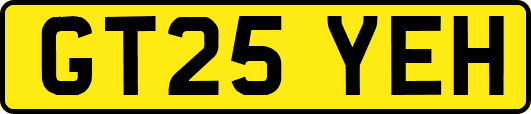 GT25YEH
