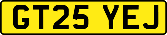 GT25YEJ