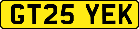 GT25YEK