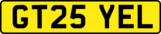 GT25YEL
