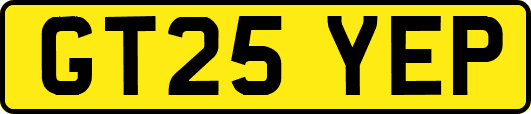 GT25YEP