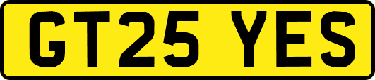 GT25YES