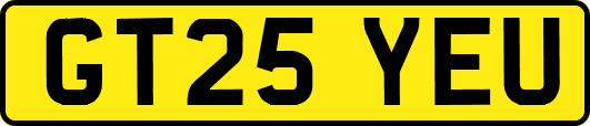 GT25YEU