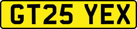 GT25YEX