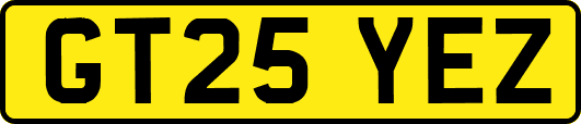 GT25YEZ