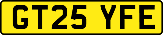 GT25YFE