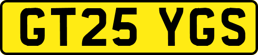 GT25YGS