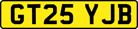 GT25YJB