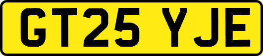 GT25YJE