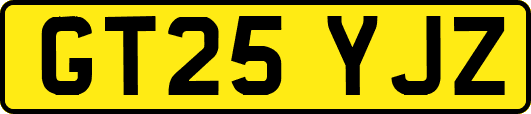 GT25YJZ