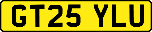 GT25YLU
