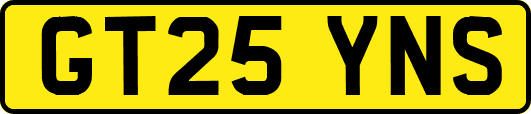 GT25YNS