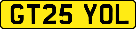 GT25YOL