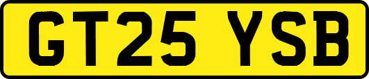 GT25YSB