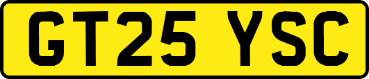 GT25YSC