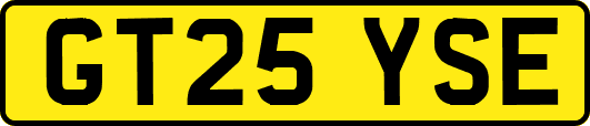 GT25YSE