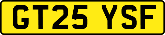 GT25YSF