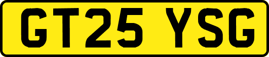 GT25YSG