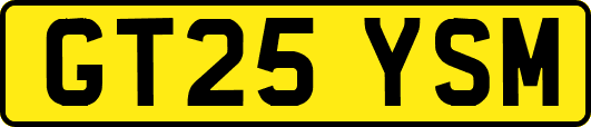 GT25YSM