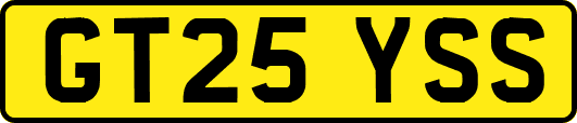 GT25YSS