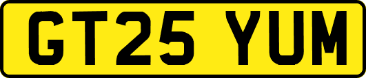 GT25YUM