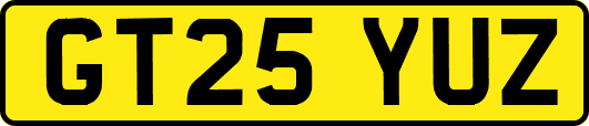 GT25YUZ