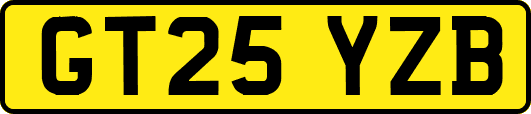 GT25YZB