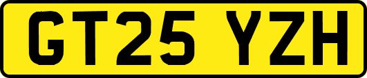 GT25YZH