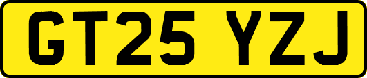 GT25YZJ