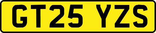 GT25YZS