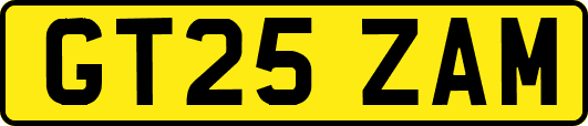 GT25ZAM