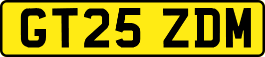 GT25ZDM