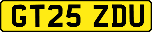 GT25ZDU