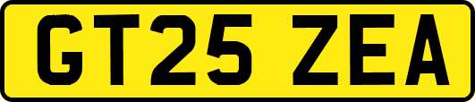 GT25ZEA