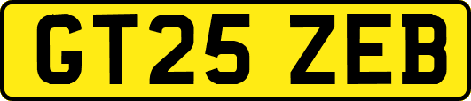 GT25ZEB