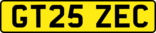 GT25ZEC