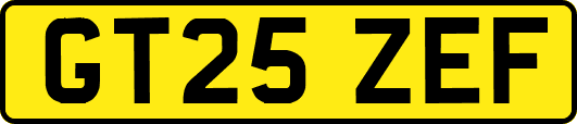 GT25ZEF