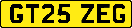GT25ZEG