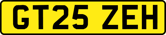 GT25ZEH