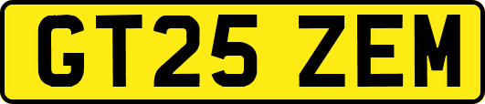 GT25ZEM