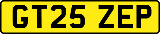 GT25ZEP