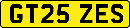GT25ZES