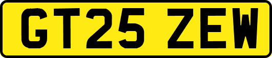 GT25ZEW