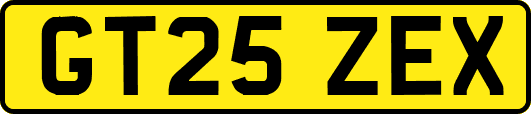 GT25ZEX