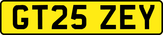 GT25ZEY