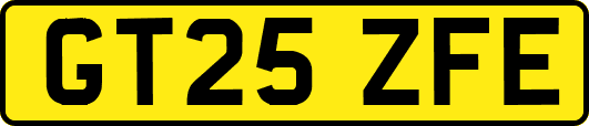 GT25ZFE