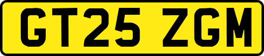 GT25ZGM